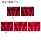 Shanglaite 60x180cm Infrared Red Light Therapy Mat – 140W Full Body Wellness & Recovery Blanket